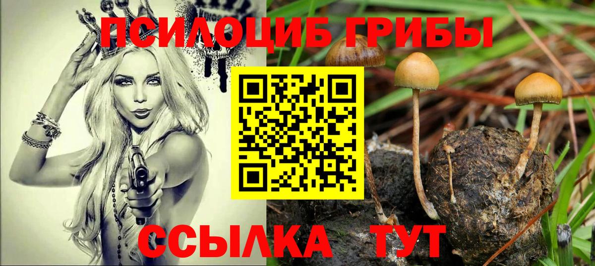 Валуйки  Псилоцибиновые грибы прущие грибы  Галлюциногенные грибы мухоморы  Вход с VPN 