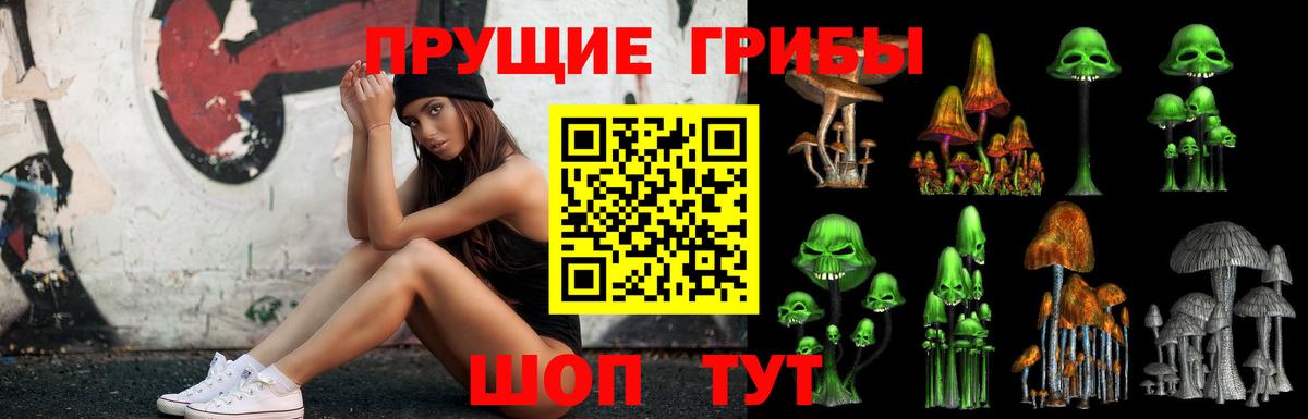 Галлюциногенные грибы Psilocybe Валуйки